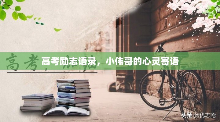 高考励志语录，小伟哥的心灵寄语