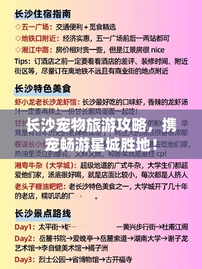 长沙宠物旅游攻略，携宠畅游星城胜地！