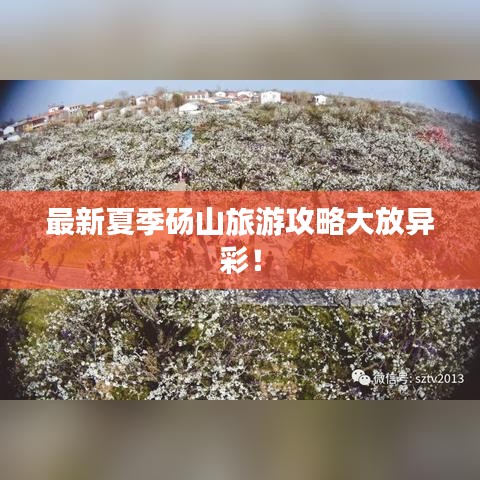 最新夏季砀山旅游攻略大放异彩！