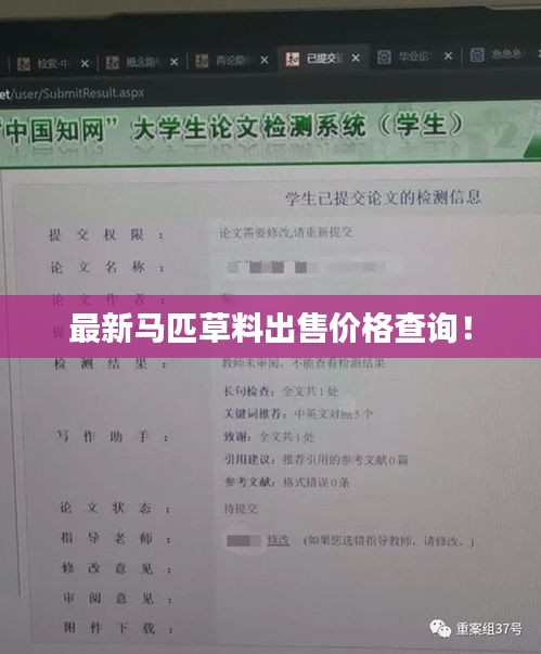最新马匹草料出售价格查询！