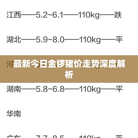最新今日金锣猪价走势深度解析