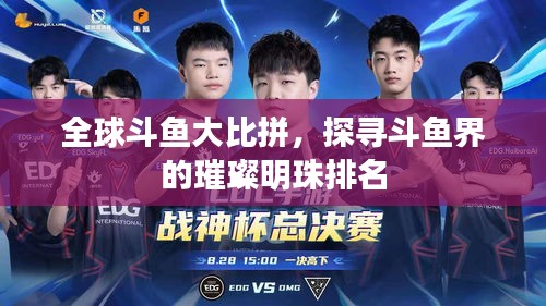 全球斗鱼大比拼，探寻斗鱼界的璀璨明珠排名