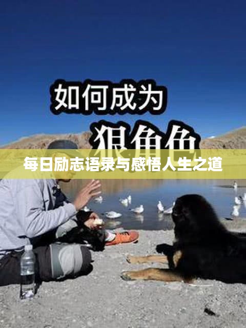 每日励志语录与感悟人生之道