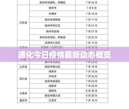 通化今日疫情最新动态概览