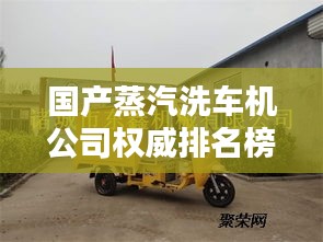 国产蒸汽洗车机公司权威排名榜单揭晓！