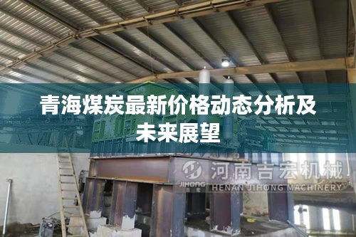 青海煤炭最新价格动态分析及未来展望