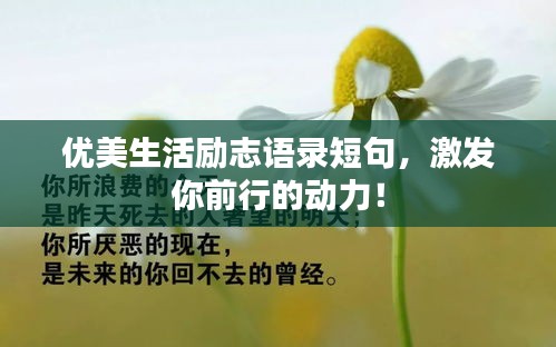 优美生活励志语录短句，激发你前行的动力！