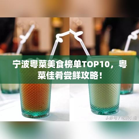 宁波粤菜美食榜单TOP10，粤菜佳肴尝鲜攻略！