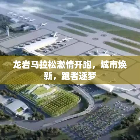 龙岩马拉松激情开跑，城市焕新，跑者逐梦