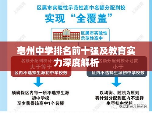 亳州中学排名前十强及教育实力深度解析