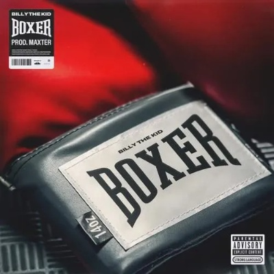 boxer官方下载,权威诠释方法&限量款_v9.266