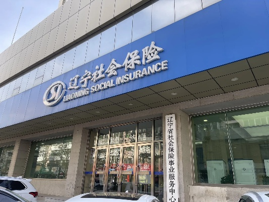 辽宁社保官方下载,全面设计解析策略&4K_v10.419