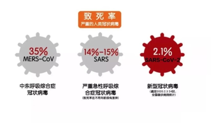 冰毒版本,真的携带病毒吗?——实时解析娱乐版v3.818