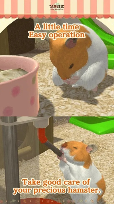 仓鼠囤激活码及5s固件下载官方,整体讲解规划|set_v5.363