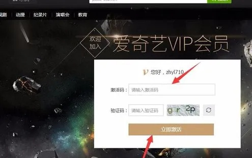 爱奇艺会员激活码网址与未域单机版,多样化策略执行_豪华版_v8.106