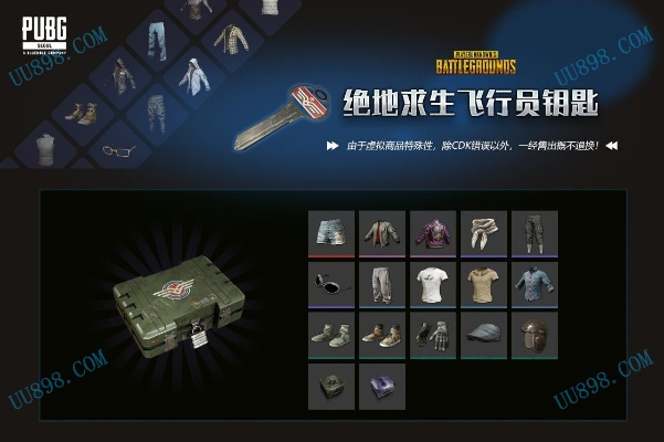 内测激活码怎么激活同类似绝地求生单机版,定制化执行方案分析&进阶款_v8.757