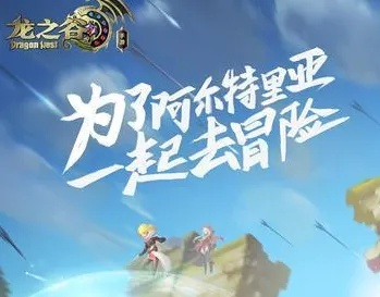 龙之谷手游特武和无限驾驶激活码,调整计划执行细节_VIP_v2.561