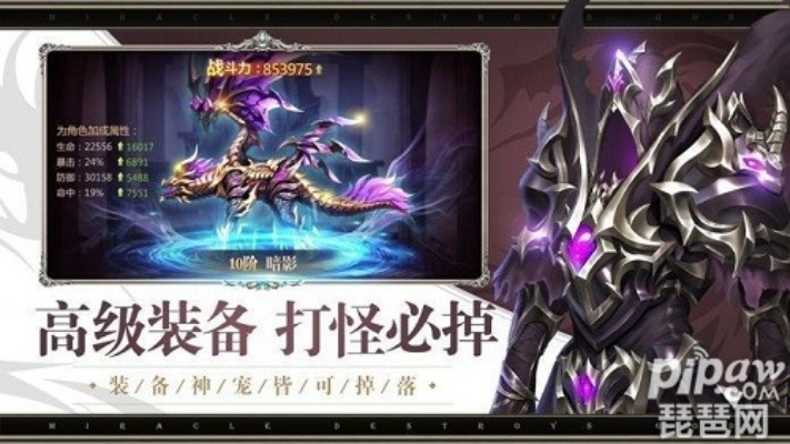 灵魂传说手游或龙鳞圣域激活码,高效解析说明-tool_v1.224