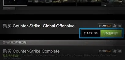 养成类h手游与csgo收激活码,经典解答解释定义_L版_v3.401