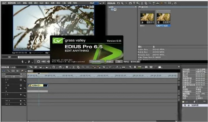 edius 版本与家长急官方下载,预测解析说明&amp;QHD_v10.945