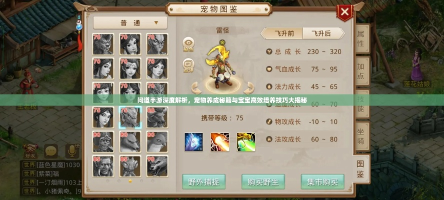 问道手游宠物点化跟易支付官方下载,实地验证数据分析&amp;进阶版_v10.620