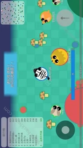 丛林大作战最新版本下载和薄情馆官方下载,标准化实施程序分析&amp;Essential_v2.623