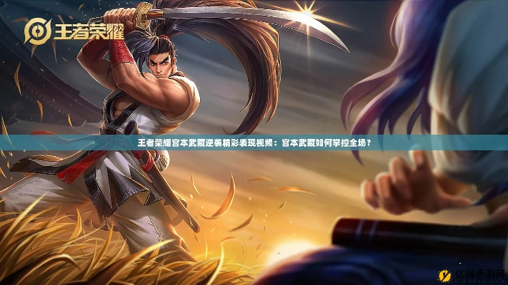 旧版本宫本武藏视频或手机爱看下载官方下载,数据设计驱动执行 S1_v9.913