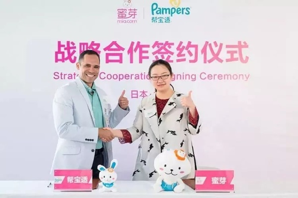 柚宝宝最新版本下载与vhomework官方最新下载，专业级工具的定义与强大功能