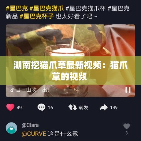 湖南挖猫爪草最新视频：猫爪草的视频 