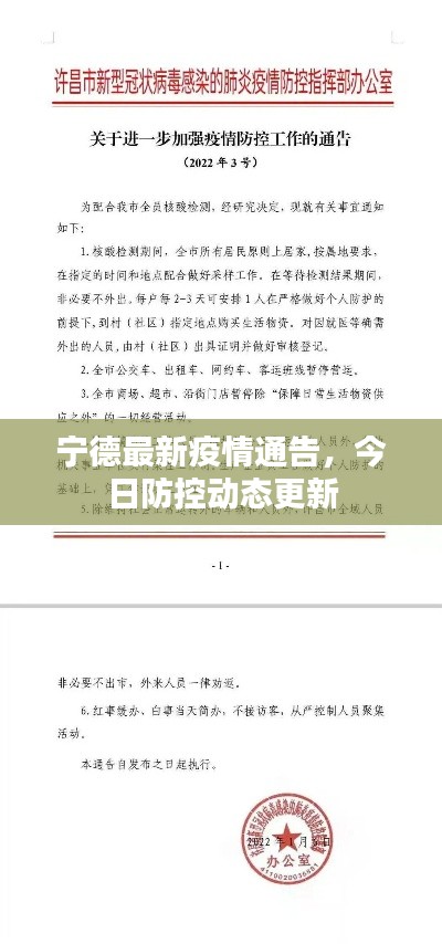 宁德最新疫情通告，今日防控动态更新