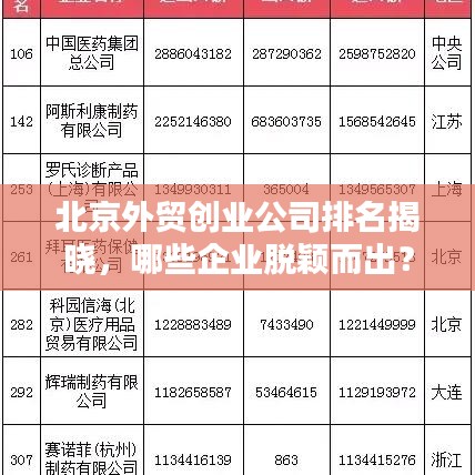 北京外贸创业公司排名揭晓，哪些企业脱颖而出？