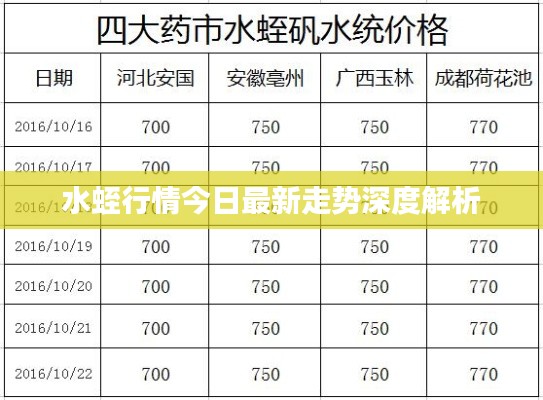 水蛭行情今日最新走势深度解析