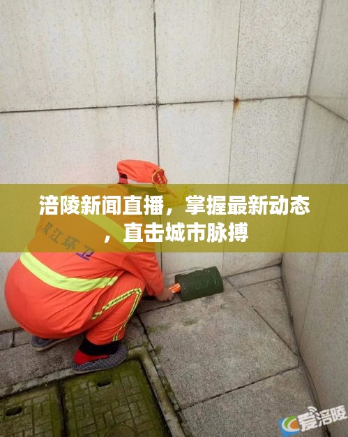 涪陵新闻直播，掌握最新动态，直击城市脉搏