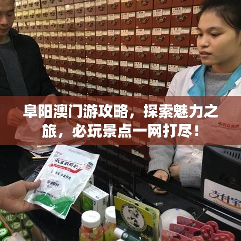 阜阳澳门游攻略，探索魅力之旅，必玩景点一网打尽！