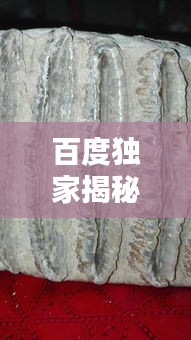 百度独家揭秘，猛犸臼齿制品的非凡魅力与珍贵价值