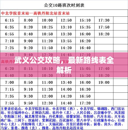 武义公交攻略，最新路线表全解析