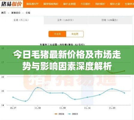 今日毛猪最新价格及市场走势与影响因素深度解析