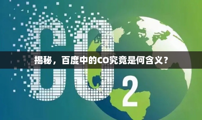 揭秘，百度中的CO究竟是何含义？