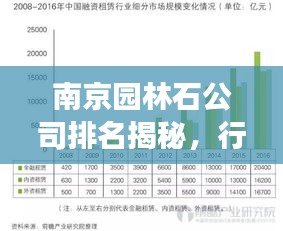 南京园林石公司排名揭秘，行业深度分析与趋势解读