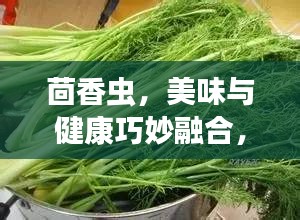 茴香虫，美味与健康巧妙融合，享用指南！