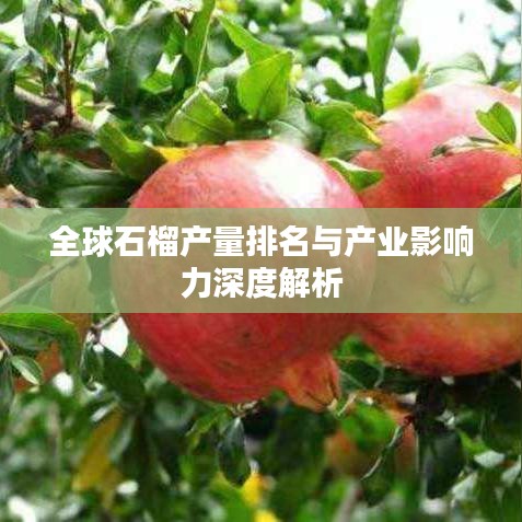 全球石榴产量排名与产业影响力深度解析