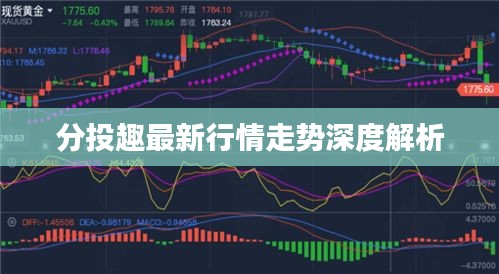 分投趣最新行情走势深度解析