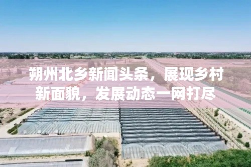 朔州北乡新闻头条，展现乡村新面貌，发展动态一网打尽