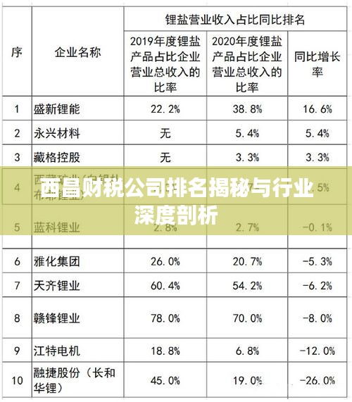 西昌财税公司排名揭秘与行业深度剖析