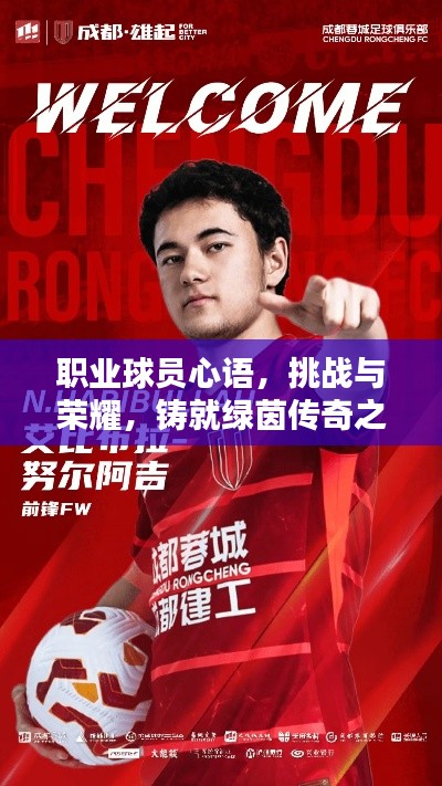 职业球员心语，挑战与荣耀，铸就绿茵传奇之路