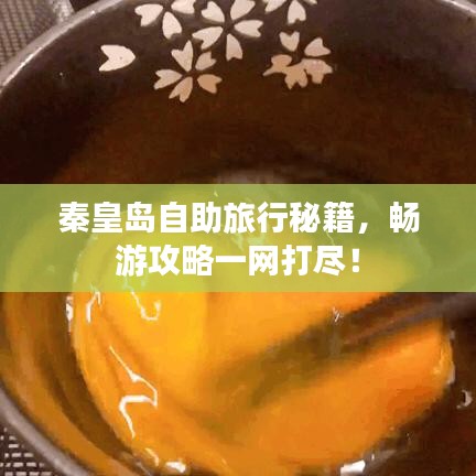 秦皇岛自助旅行秘籍，畅游攻略一网打尽！
