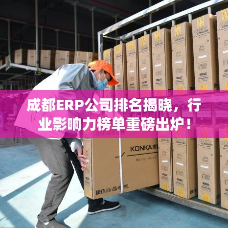 成都ERP公司排名揭晓，行业影响力榜单重磅出炉！