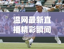温网最新直播精彩瞬间，今日一网打尽视频回顾