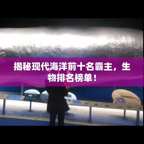 揭秘现代海洋前十名霸主，生物排名榜单！