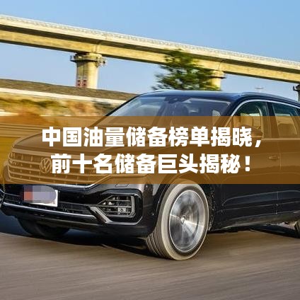 中国油量储备榜单揭晓，前十名储备巨头揭秘！